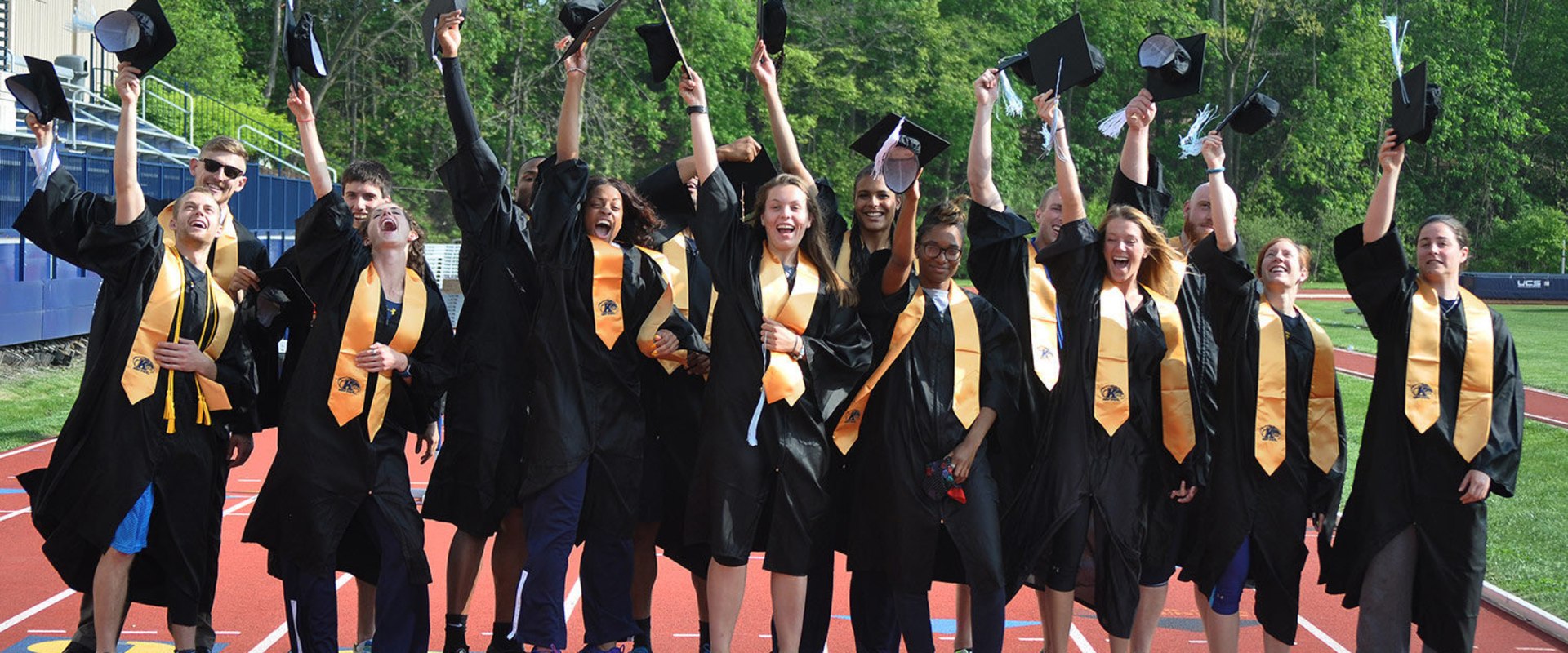 Achievements in Academic Records: The Highest GPAs Achieved